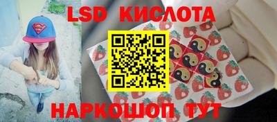 ПСИЛОЦИБИНОВЫЕ ГРИБЫ Будённовск